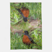 Neugieriger amerikanischer Robin Songbird im Gras Geschirrtuch (Vertikal)