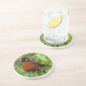 Neugieriger amerikanischer Robin Songbird im Gras Getränkeuntersetzer (Seite)