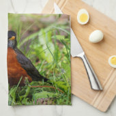 Neugieriger amerikanischer Robin Songbird im Gras Handtuch (Viertel Falte)