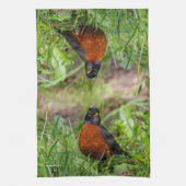 Neugieriger amerikanischer Robin Songbird im Gras Handtuch (Vertikal)