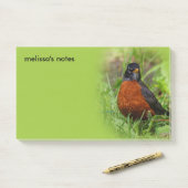 Neugieriger amerikanischer Robin Songbird im Gras Post-it Klebezettel (Auf Schreibtisch)