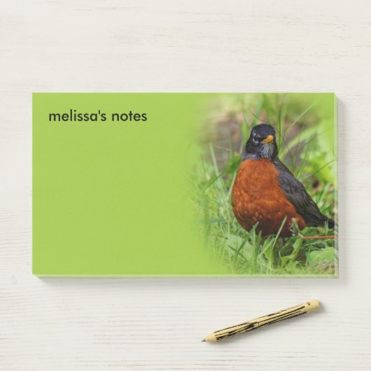 Neugieriger amerikanischer Robin Songbird im Gras Post-it Klebezettel (Auf Schreibtisch)