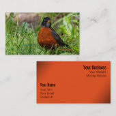 Neugieriger amerikanischer Robin Songbird im Gras Visitenkarte (Vorne/Hinten)