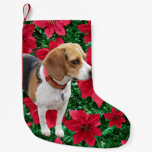 Neugieriger Beagle-Poinsettia-WeihnachtsStrumpf Kleiner Weihnachtsstrumpf