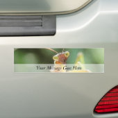 Neugieriger betender Mantis Autoaufkleber (Auf Auto)