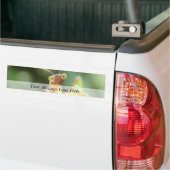 Neugieriger betender Mantis Autoaufkleber (Auf Lkw)