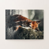 Neugieriger Big Red and White Fox in der Natur Puzzle (Horizontal)