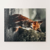 Neugieriger Big Red and White Fox in der Natur Puzzle (Horizontal)