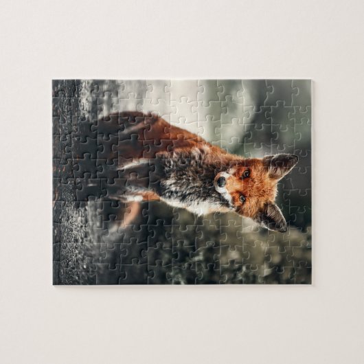 Neugieriger Big Red and White Fox in der Natur Puzzle (Horizontal)