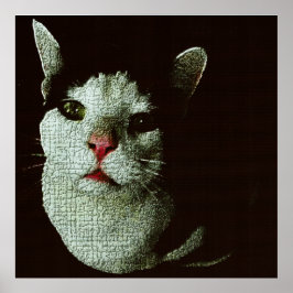 Neugieriger Bob Poster