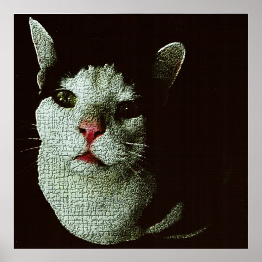 Neugieriger Bob Poster (Vorne)