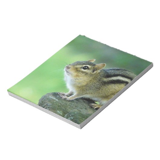 Neugieriger Chipmunk Notepad Notizblock (Rotiert)