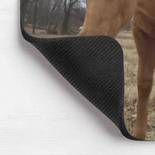 Neugieriger Colt Mousepad (Ecke)