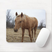 Neugieriger Colt Mousepad (Mit Mouse)