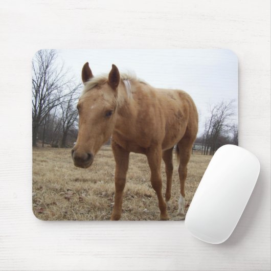 Neugieriger Colt Mousepad (Mit Mouse)