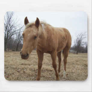 Neugieriger Colt Mousepad