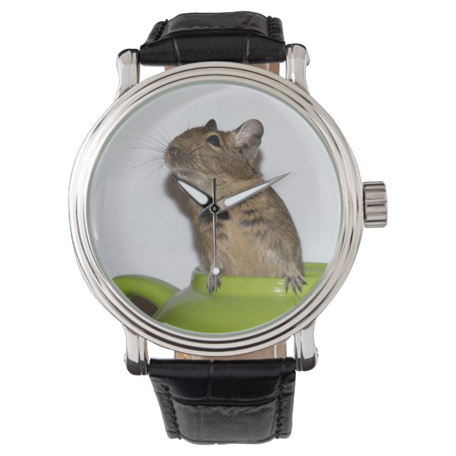 Neugieriger Degu im Grünen Teapot Armbanduhr (Vorderseite)