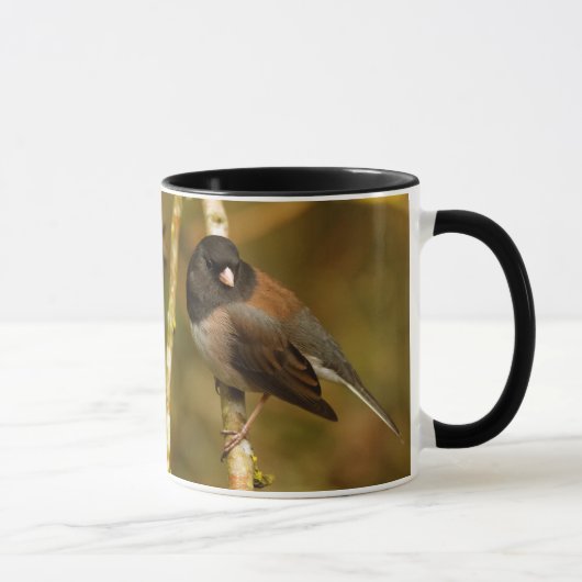 Neugieriger, dunkel-Mit Augen Junco Sparrow Songbi Tasse (Rechts)