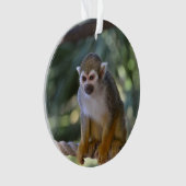 Neugieriger Eichhörnchen-Affe Ornament (Vorderseite)