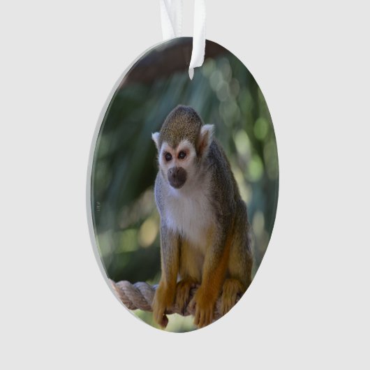 Neugieriger Eichhörnchen-Affe Ornament (Vorderseite)
