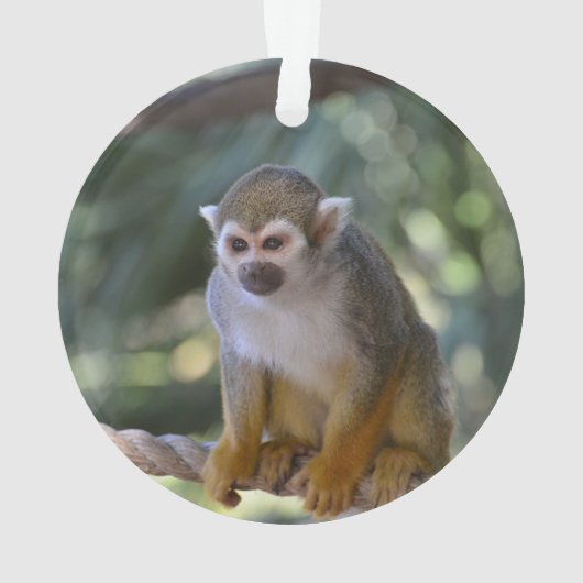 Neugieriger Eichhörnchen-Affe Ornament (Rückseite)