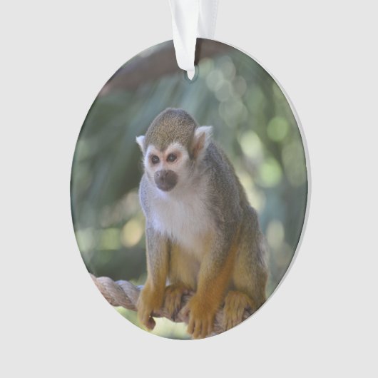 Neugieriger Eichhörnchen-Affe Ornament (Vorderseite)