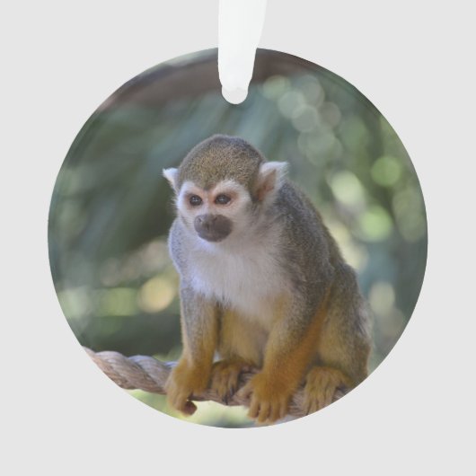 Neugieriger Eichhörnchen-Affe Ornament (Vorderseite)