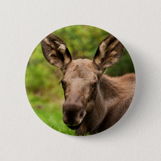 Neugieriger Elch Button (Vorderseite)