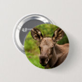 Neugieriger Elch Button (Vorne & Hinten)
