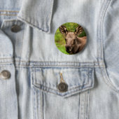 Neugieriger Elch Button (Beispiel)