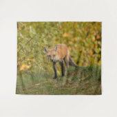 Neugieriger Fuchs Wandteppich (Vorderseite (Horizontal))