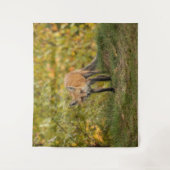 Neugieriger Fuchs Wandteppich (Vorderseite)