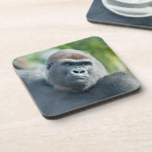 Neugieriger Gorilla steht aufrecht Getränkeuntersetzer (Linke Seite)
