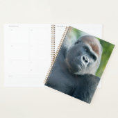 Neugieriger Gorilla steht aufrecht Planer (Anzeige)