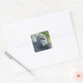 Neugieriger Gorilla steht aufrecht Quadratischer Aufkleber (Umschlag)