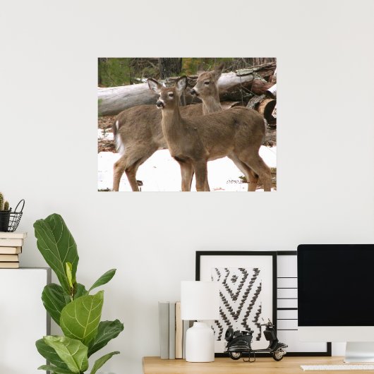 Neugieriger Hirsch Poster (Heimbüro)