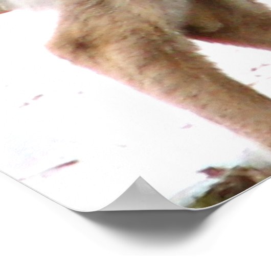 Neugieriger Hirsch Poster (Ecke)