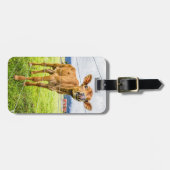 Neugieriger Kalb-Gepäckanhänger Gepäckanhänger (Vorderseite horizontal)