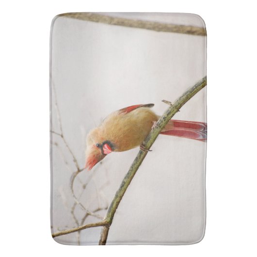 Neugieriger Kardinal Bathmat Badematte (Vorderseite Vertikal)