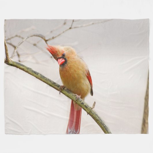 Neugieriger Kardinal Fleece Blanket (Vorderseite (Horizontal))