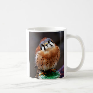 Neugieriger Kestrel Kaffeetasse