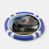 Neugieriger Kongo-Afrikanischer Grauer Papagei Pokerchips (Einzeln)