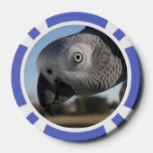 Neugieriger Kongo-Afrikanischer Grauer Papagei Pokerchips (Rückseite)