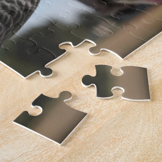 Neugieriger Kongo-Afrikanischer Grauer Papagei Puzzle (Seite)
