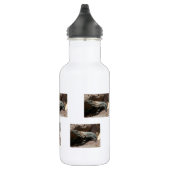 Neugieriger Leguan Edelstahlflasche (Rechts)