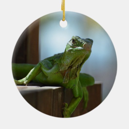 Neugieriger Leguan Keramikornament (Hinten)