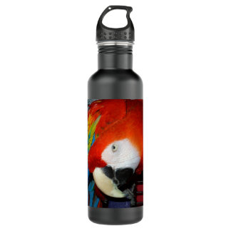 Neugieriger Macaw Trinkflasche