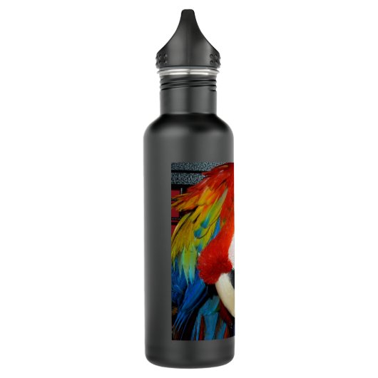 Neugieriger Macaw Trinkflasche (Links)