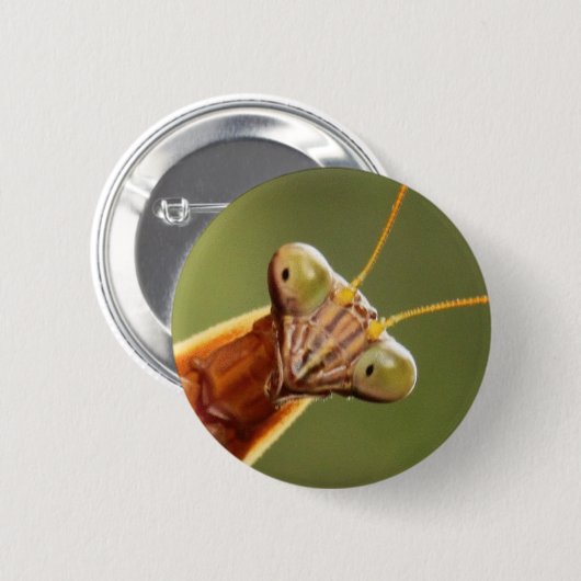Neugieriger Mantis Button (Vorne & Hinten)
