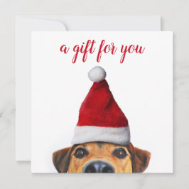 Neugieriger Niedlicher Hund mit Weihnachtsmannmütz